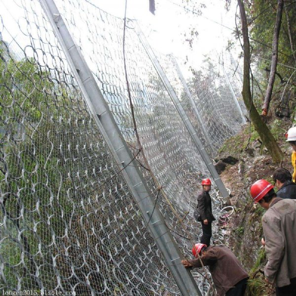 1616485480171174.jpg 2019426_103318.jpg