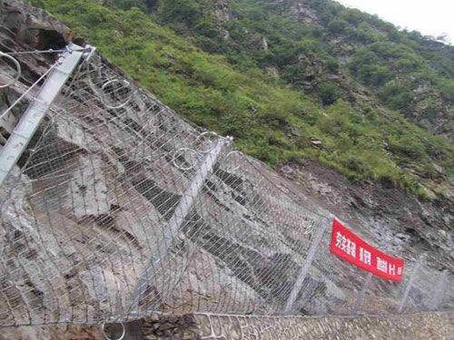 1616485594369224.jpg 1.10.jpg