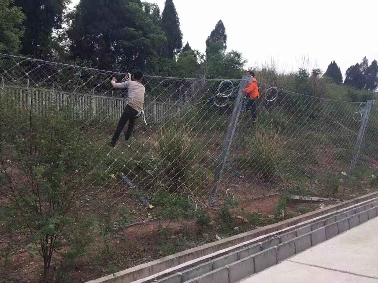 1616485722961136.jpg timg (30).jpg