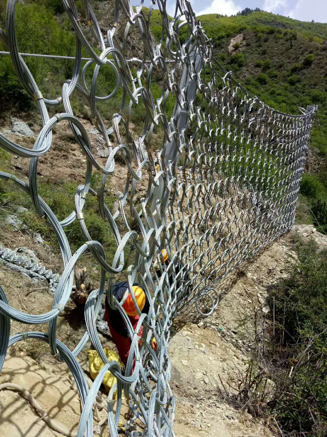 RXI200 PPS200被动防护网.jpg